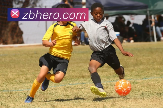 众宝娱乐官网平台生态图